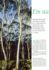 38-41 Eukalyptus