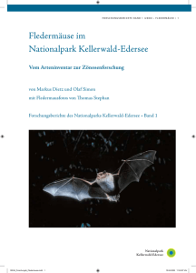 Forschungsbericht Fledermäuse im Nationalpark Kellerwald