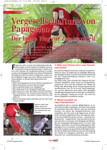 Vergesellschaftung von Papageien