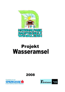 Projekt Wasseramsel - Konzept als PDF