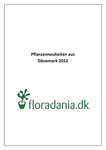 Pflanzenneuheiten aus Dänemark 2012