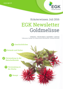 EGK Newsletter Goldmelisse