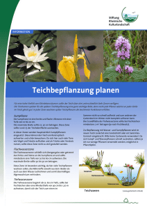 Informationsblatt Teichbepflanzung planen - UN