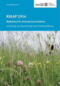 KULAP 2014 - Maßnahme G1-Artenreiches Grünland