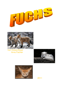 Projekt Fuchs