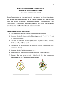 Prüfungsvorbereitender Fragenkatalog