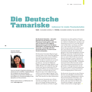 2013_Die_Deutsche_Tamariske