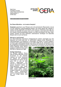 03-2009 Riesenbärenklau (application/pdf 1.4 MB)