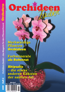 Orchideen - Merz-im