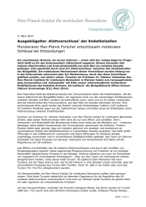 Pressemitteilung - Max-Planck-Institut für molekulare Biomedizin