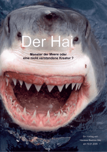 Der Hai - doez.de: Start