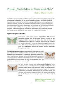 Begleittext Nachtfalter - Stiftung Natur und Umwelt Rheinland