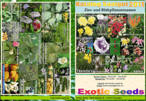 Zierpflanzen - Herzlich Willkommen bei Exotic Seeds, entdecken Sie