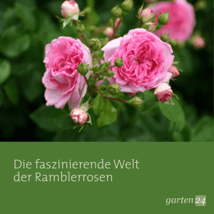 - Garten24.com