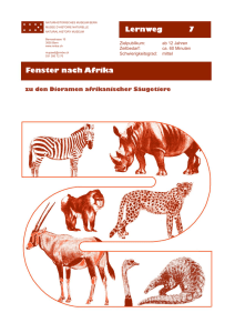 Lernweg 7 Fenster nach Afrika - Naturhistorisches Museum Bern