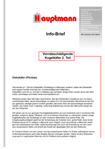 Info-Brief - Hauptmann GmbH