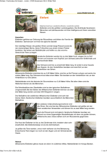 Elefant - SWR Kindernetz