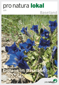 Enziane im Baselbiet - Pro Natura Baselland