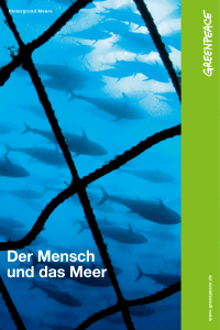 Hintergrund Meere | Greenpeace