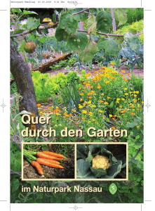 Quer durch den Garten Quer durch den Garten