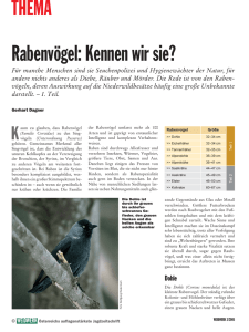 Artikel Teil 1 - Österreichischen Falknerbund