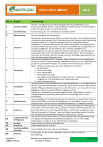 botanisches glossar - T