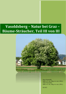 - Gemeinde Vasoldsberg