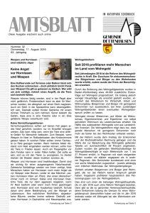 Amtsblatt KW 32 vom 11.08.2016