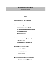 Neurowissenschaftliche Grundlagen_Skriptum