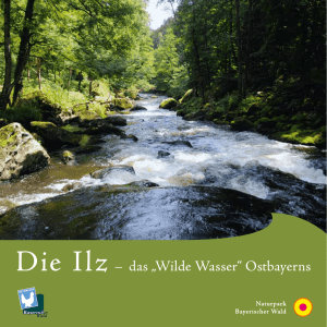 Die Ilz – das „Wilde Wasser“ Ostbayerns