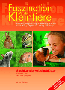 Welt der Kleintiere