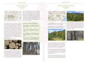Forstimmobilie Cheja 611 Hektar PROJEKTE PROJEKTE