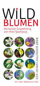 WiLDBLUMEN Der Heimatkalender 2016