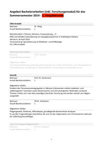 Liste mit Angebot an Bachelorarbeiten in der zweiten