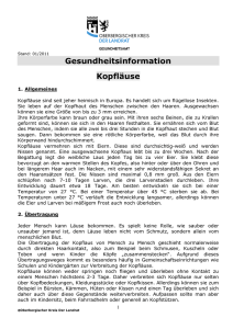 Info Kopfläuse - Oberbergischer Kreis