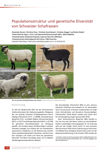 Populationsstruktur und genetische Diversität von Schweizer