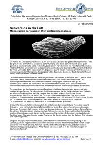 Schwerelos in der Luft