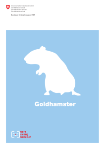 Goldhamster - Tierdatenbank