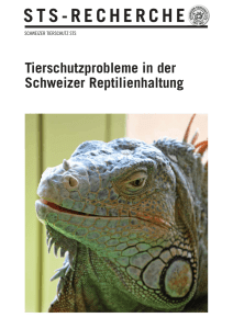 - Schweizer Tierschutz STS