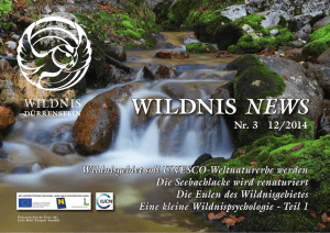 wildnis news - Wildnisgebiet Dürrenstein