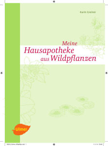 Hausapotheke aus Wildpflanzen