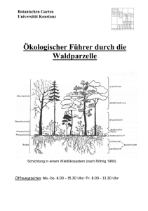 pdf-file - Universität Konstanz