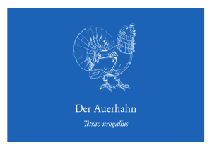 Der Auerhahn - Walter Auer AG