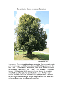 2012: Die schönsten Bäume (3,0MB, PDF)