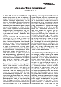 Artikel 4 / 2006