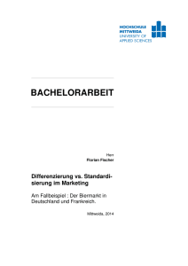 Bachelorarbeit_Florian Fischer - MOnAMi