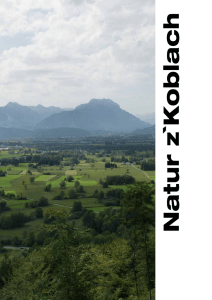 Natur z´Kobla