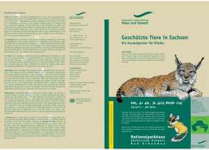 Geschützte Tiere in Sachsen