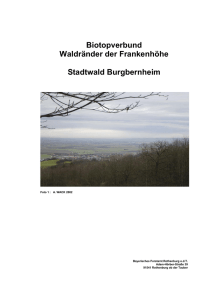 Biotopverbund im Stadtwald Burgbernheim