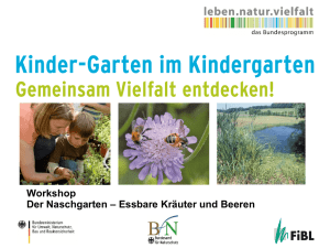 Kinder-Garten im Kindergarten: Präsentation Naschgarten